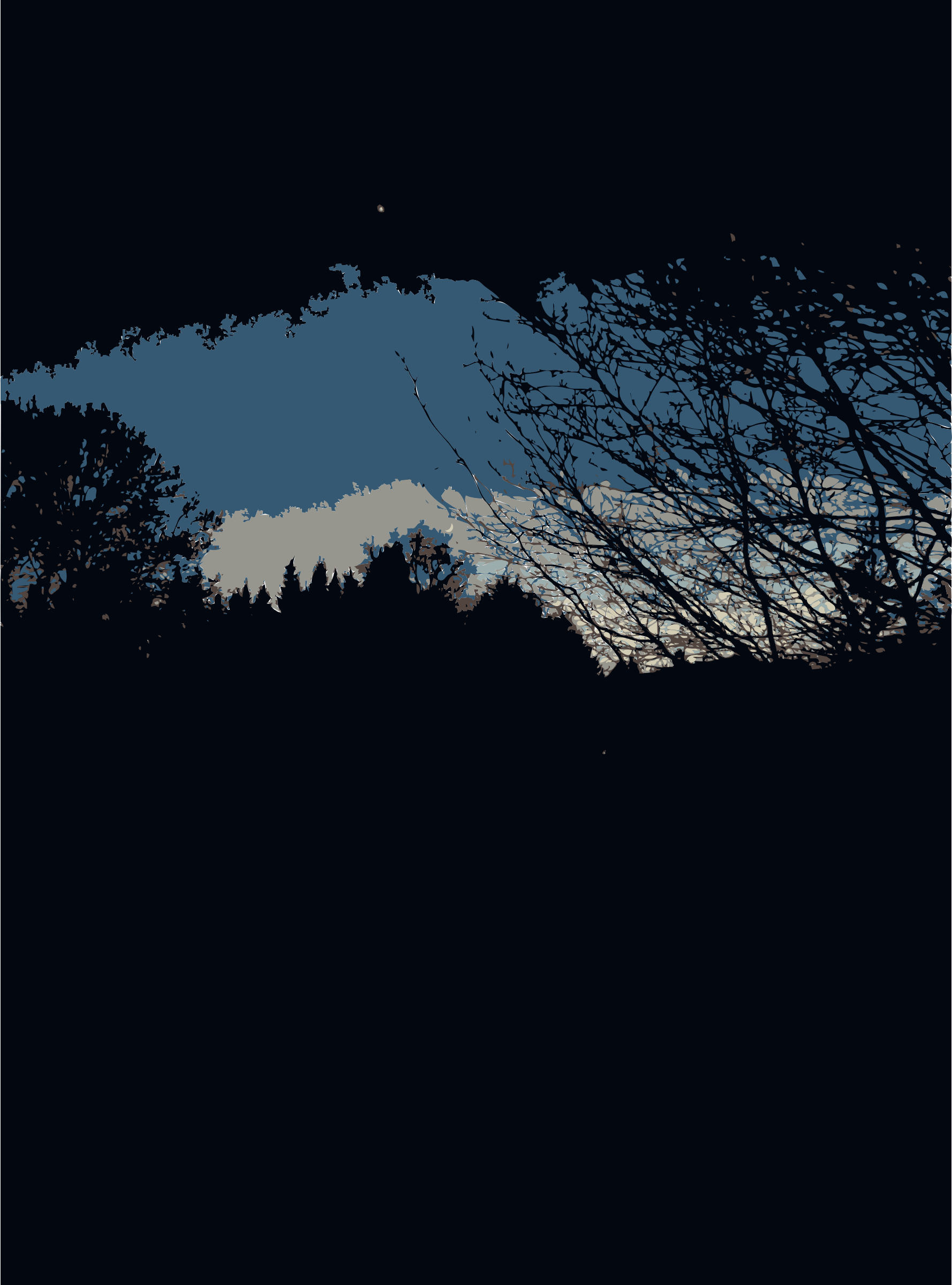 1778x2400 Night In The Forest Icons Png