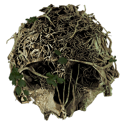 400x400 Official The Forest Wiki