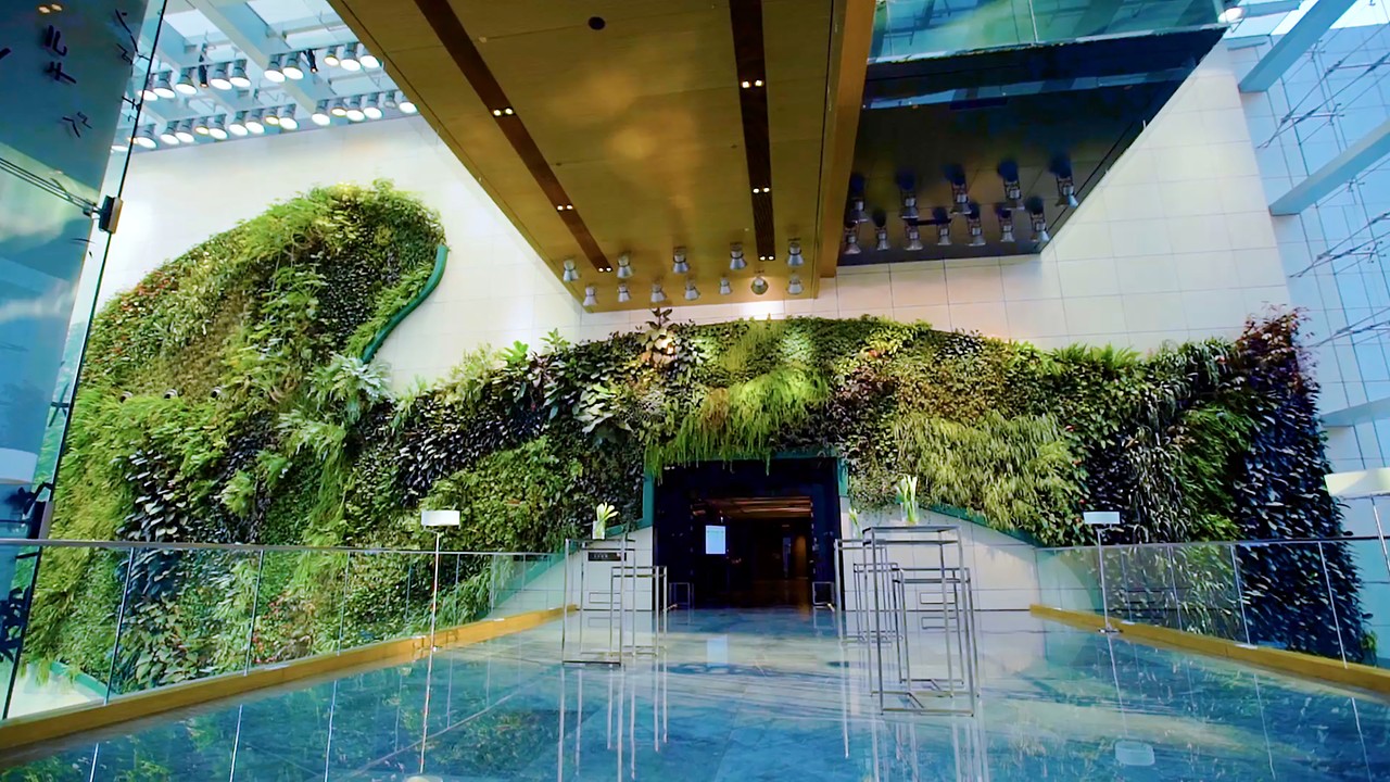 1280x720 Green Breakfast High Tea In Hong Kong Hotel Icon