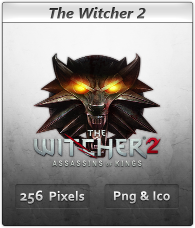 390x457 The Witcher Aok