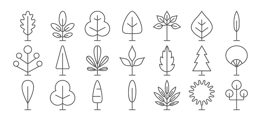 900x419 Tree Line Icon Set Vector Collection Different Thin Simple