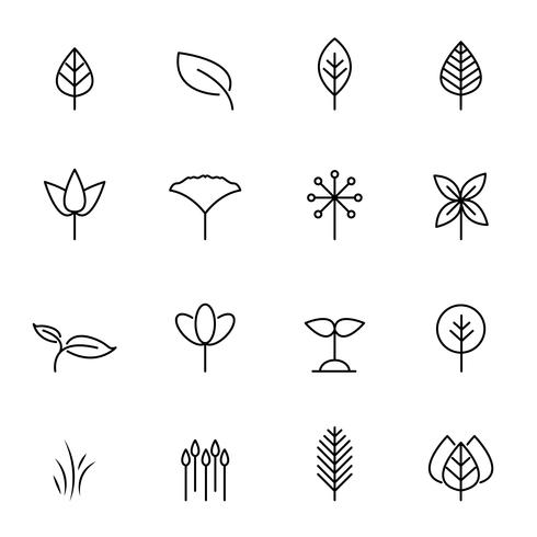 490x490 Leaf Icon Set Vector Nature And Symbol Concept Thin Line Icon