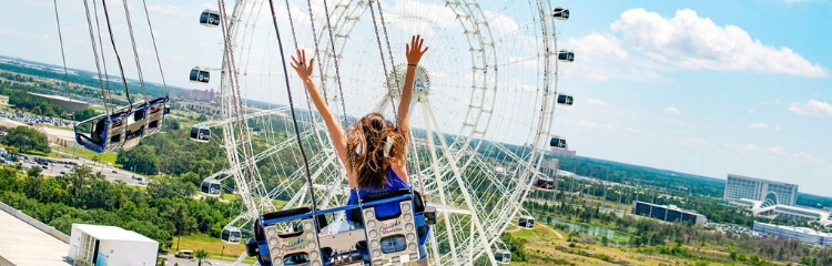 750x240 Top Things To Do