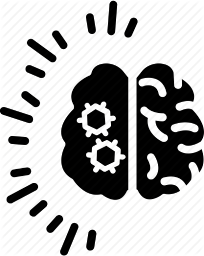 399x501 Organised Png