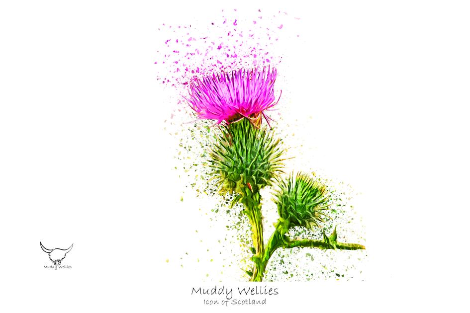 945x630 Muddy Wellies Icon Of Scotland Art Prints Helen Clark Art