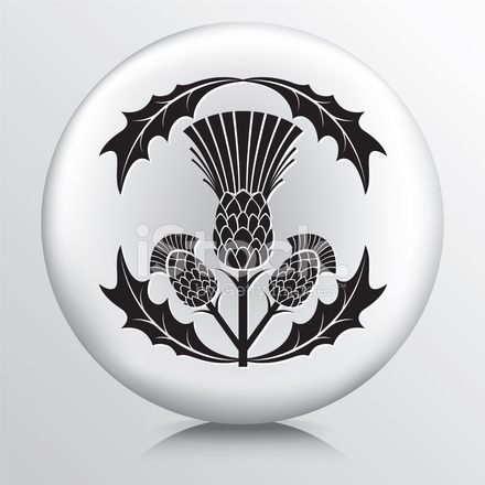 440x440 Round Icon With Black Thistle And Leaves Stock Vector