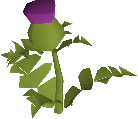 544x470 Thistle Old School Runescape Wiki Fandom Powered