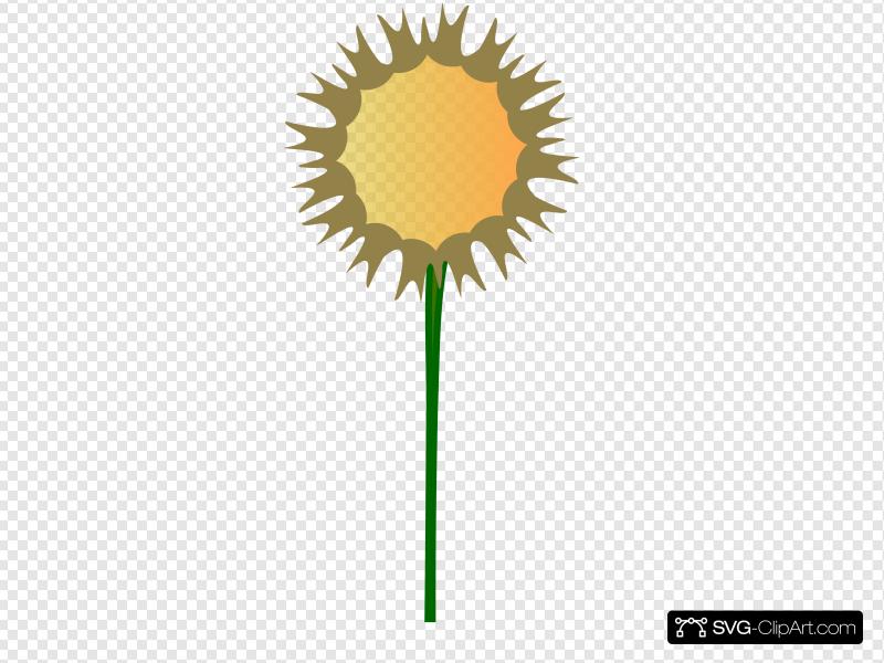800x600 Thistle Flower Clip Art, Icon