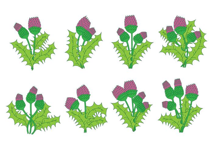 700x490 Thistle Icons