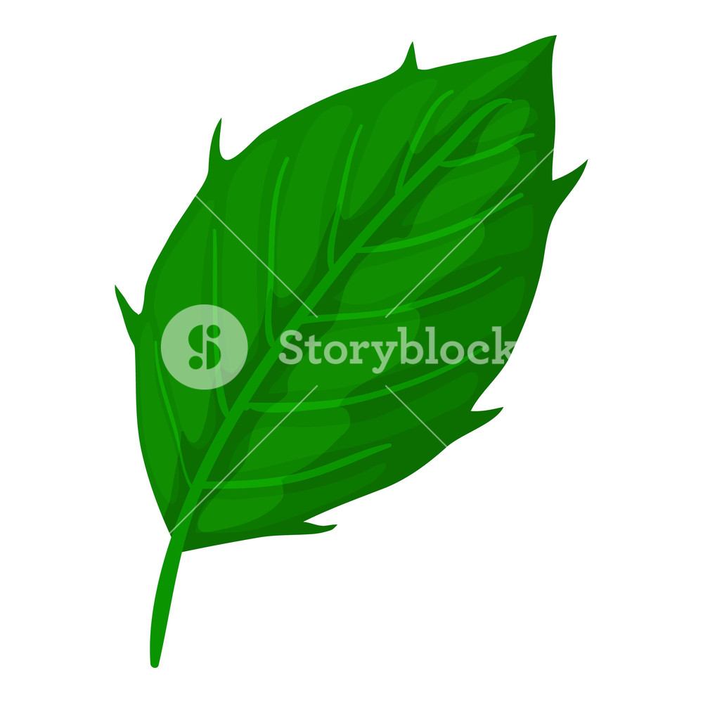 1000x1000 Thistle Leaf Icon Cartoon Illustration Of Thistle Leaf Vector
