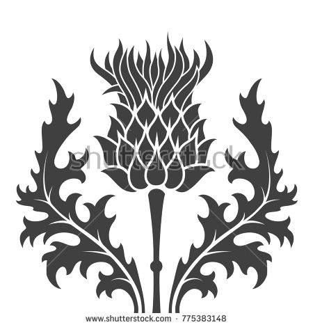 450x470 Flat, Monochrome Silhouette Thistle Symbol Of Scotland Over White