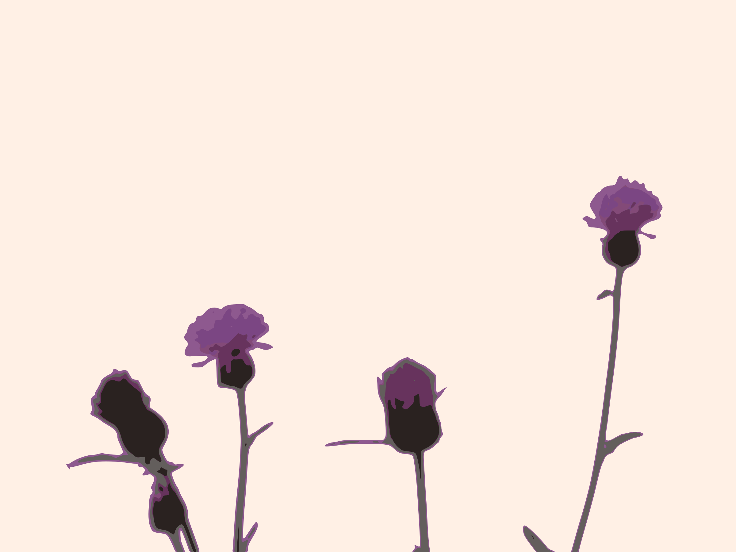 2400x1800 Thistle Icons Png