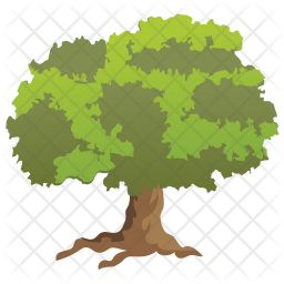 256x256 Jerusalem Thorn Icon Of Flat Style