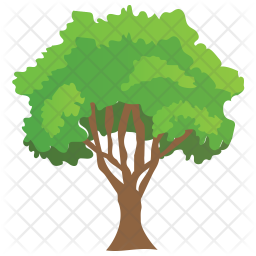 256x256 Buck Thorn Tree Icon Of Flat Style