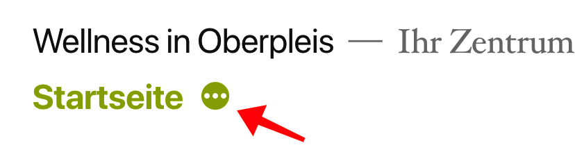 828x242 Elipsis Icon Shows In Menu On All Screen Sizes Issue