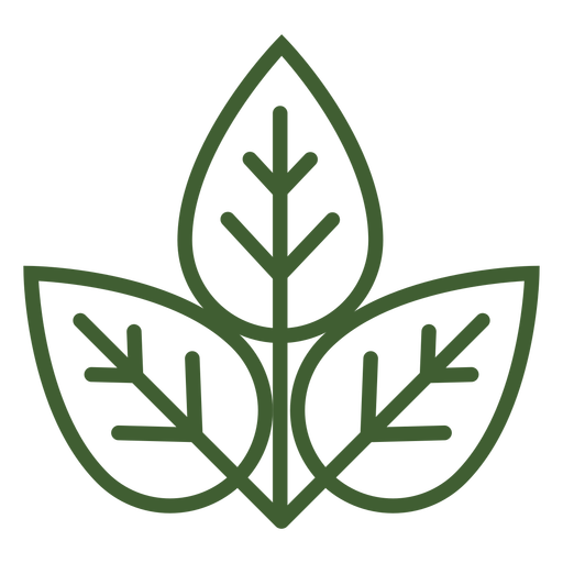 512x512 Three Leaves Icon
