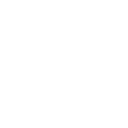 256x256 Free White Electrical Threshold Icon