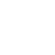 192x192 Fingerprint Icon Material Ui
