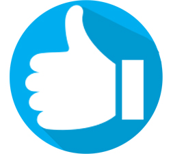 253x225 Thumbs Up Icon