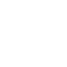 256x256 Free White Thumbs Up Icon