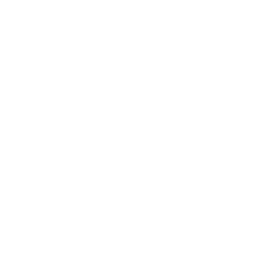 256x256 White Thumbs Up Icon
