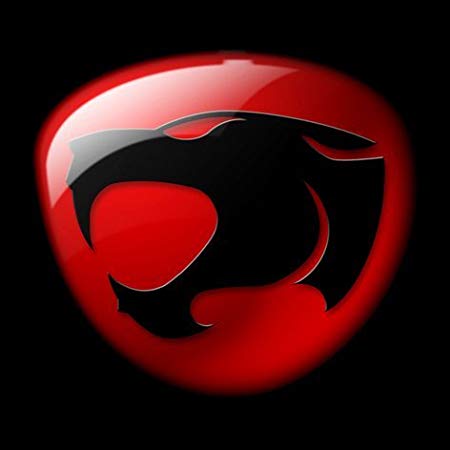 450x450 Imagenation Thundercats