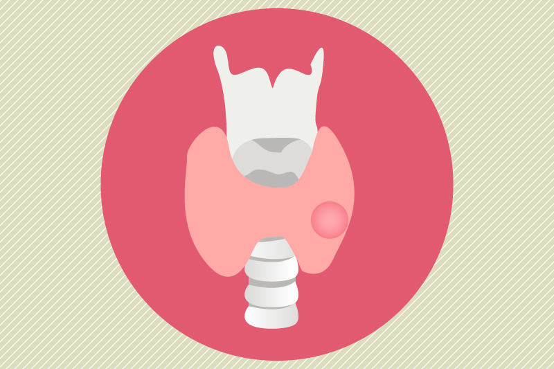 800x533 Thyroid Icon