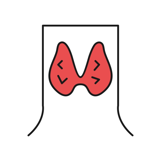 640x640 Thyroid Icon For Your Project, Thyroid, Internal, Organs Png