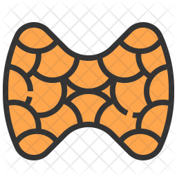 256x256 Thyroid Icon Of Colored Outline Style