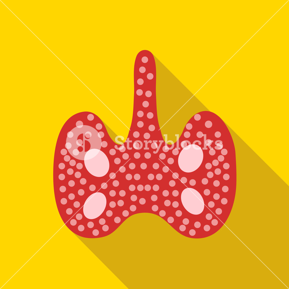 1000x1000 Thyroid Gland Icon In Flat Style With Long Shadow Organ Symbol