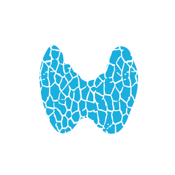 343x343 Thyroid Icon Drbeen