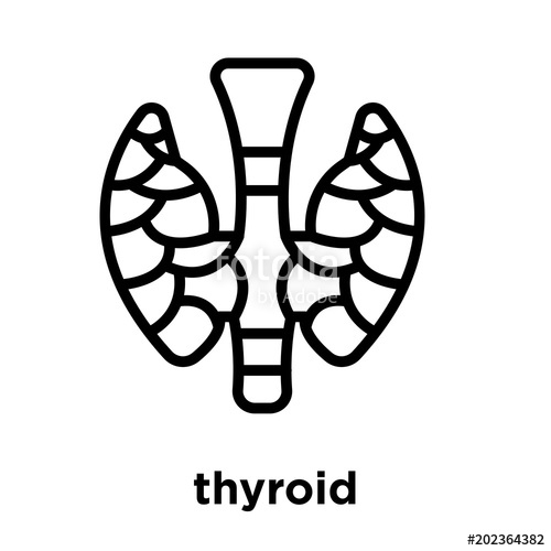 500x500 Thyroid Icon Isolated On White Background Stock Image And Royalty