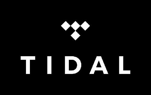 500x316 Tidal Review Rating