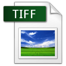 256x256 Tiff Icon
