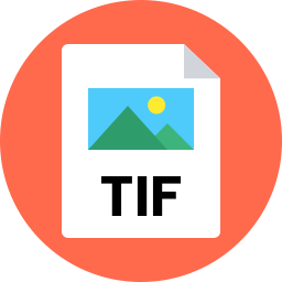 256x256 Tif Icon Flat