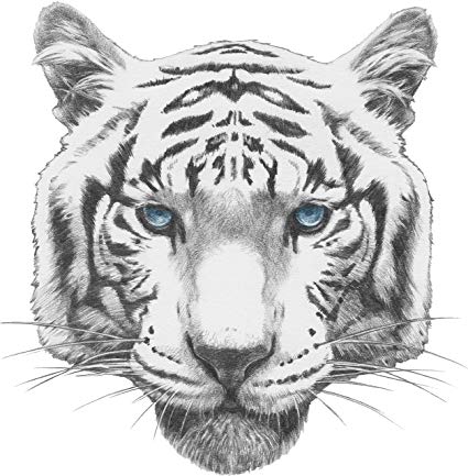 425x433 Cool Majestic Realistic White Bengal Tiger Icon