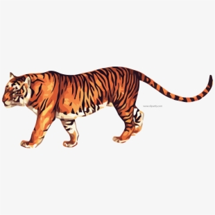 Tiger Icon Png at Vectorified.com | Collection of Tiger Icon Png free ...