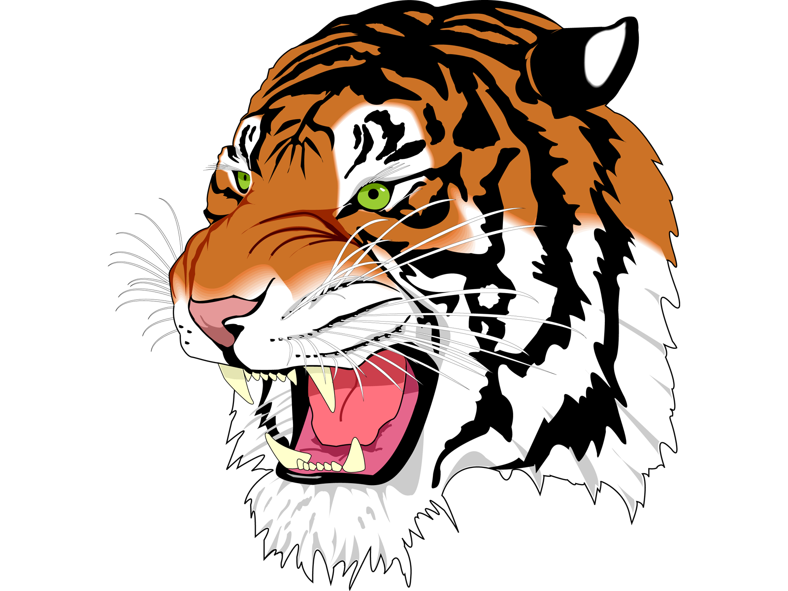 1600x1200 Tiger Png Image Without Background Web Icons Png