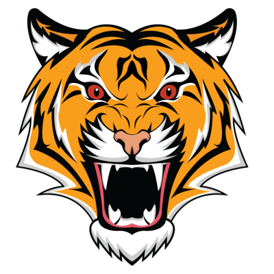 400x400 Free Tiger Icon Png
