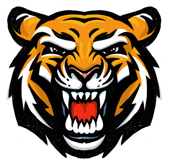 582x548 Head Tiger Png Clipart
