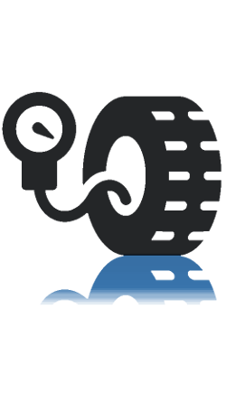 250x445 Professional Auto Transport