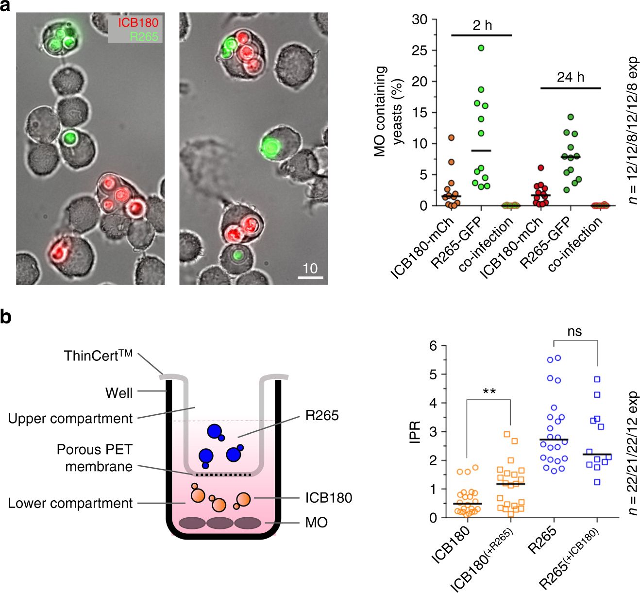 Pathogen Derived Extracellular Vesicles Mediate Virulence 1318x1221 Pathogen Derived Extracellular Vesicles Mediate Virulence