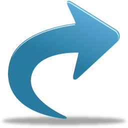 256x256 Go Into Icon