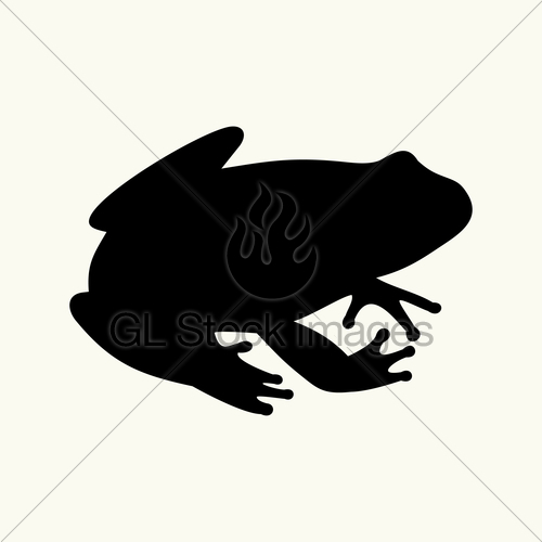 500x500 Toad Gl Stock Images