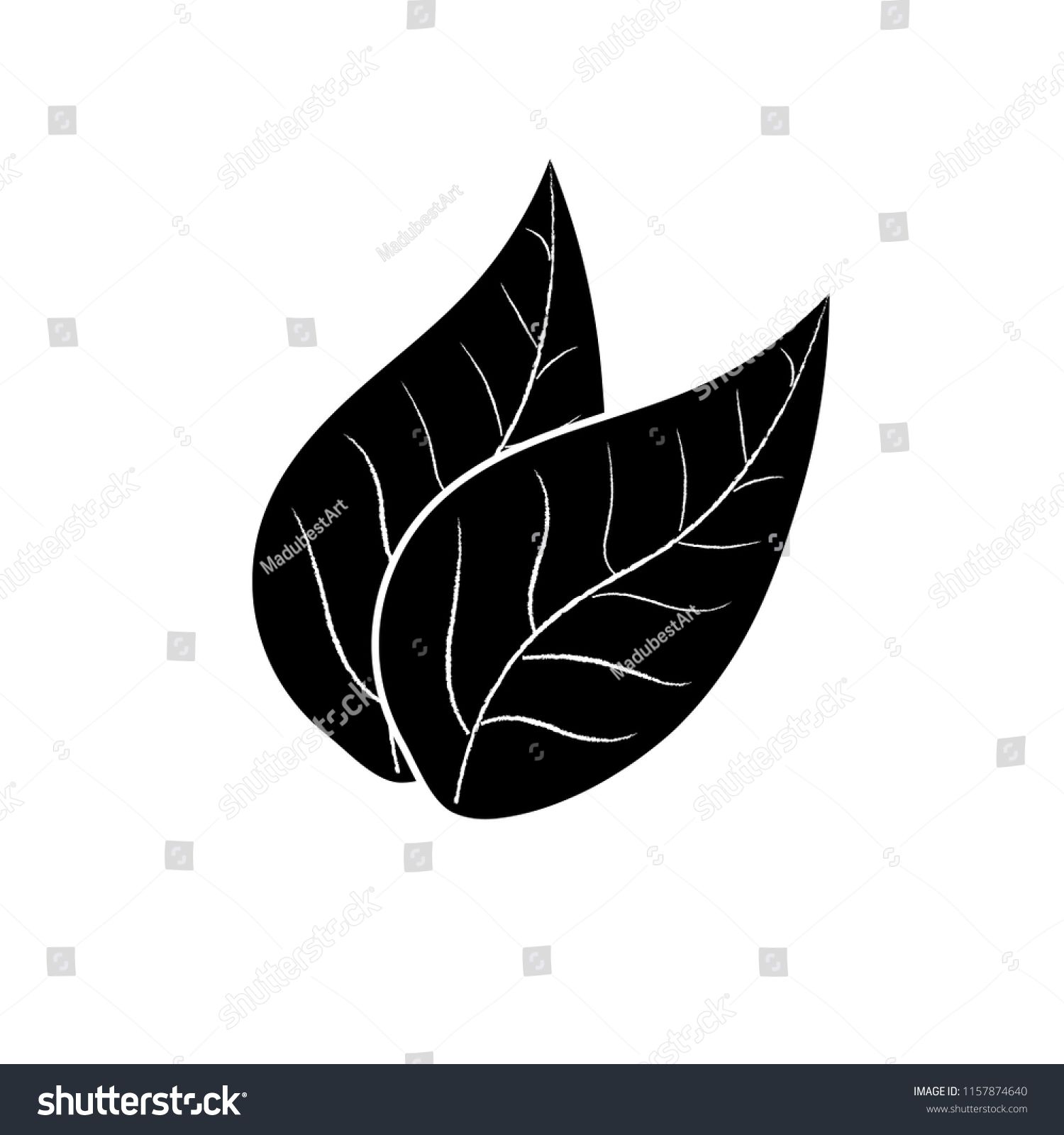 1500x1600 Tobacco Leaves Vector Icon Leaves Tobacco Icon Vector