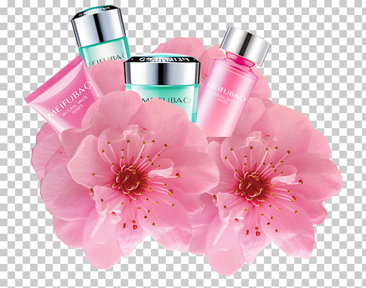 Cherry Blossom Cosmetics Icon, Sakura Cosmetics, Assorted 728x573 Cherry Blossom Cosmetics Icon, Sakura Cosmetics, Assorted
