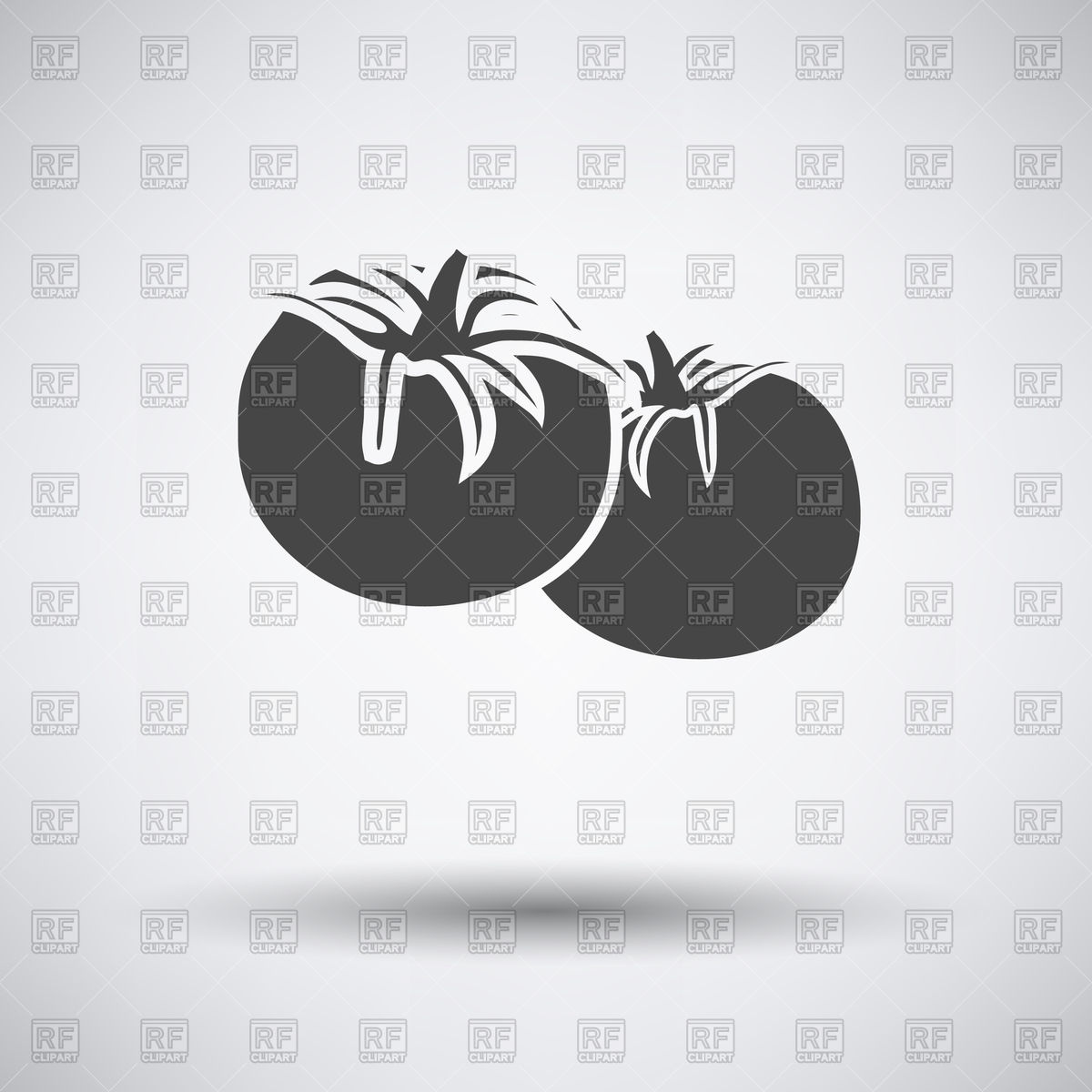 1200x1200 Tomato Icon On A Gray Background With Round Shadow Vector Image