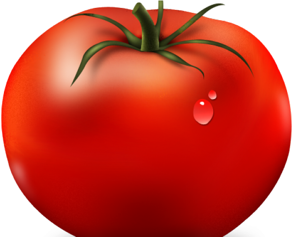 593x481 Tomatoes Clipart
