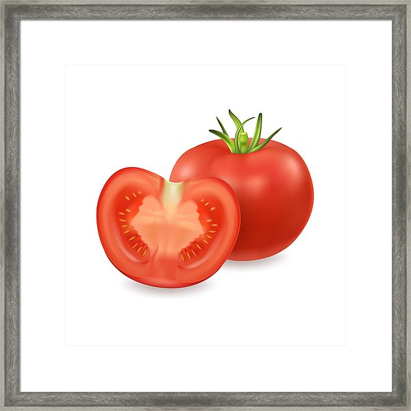 600x600 Vector Realistic Different Tomato Icon Set Closeup Isolated