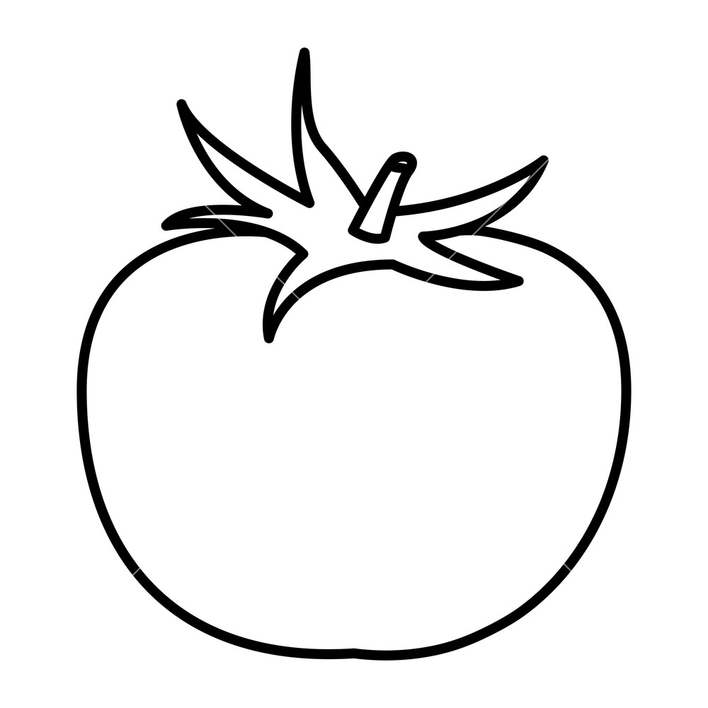 1000x1000 Tomato Icon Cartoon Isolated Black And White Vector Illustration